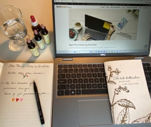 Trin 2 online & Selvstudie foregår dels derhjemme hos dig selv via onlinekursus og dels ved webinarer med din underviser