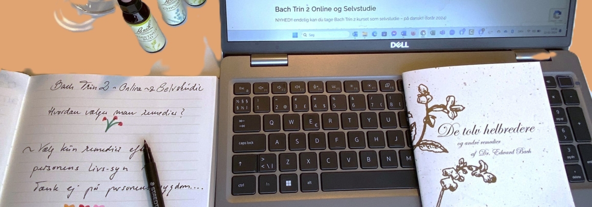 Bach Trin 2 online og Selvstudie kursus
